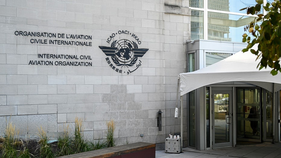 Trump UN aviation ambassador pick faces scrutiny after $426K tax liens missing from ethics filing