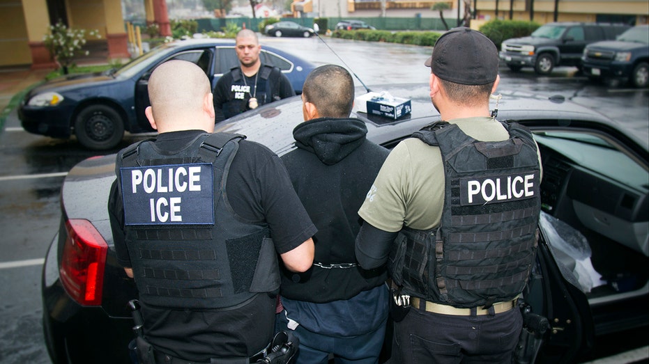 Trump administration pushes back on CBS claim very few arrested illegal aliens have 'violent criminal records'