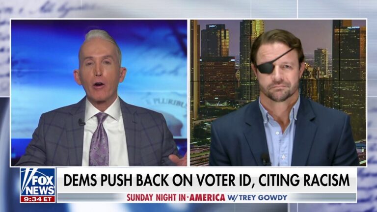 ‘Cannot rationalize’ Democrats’ opposition to voter ID laws, Texas congressman says