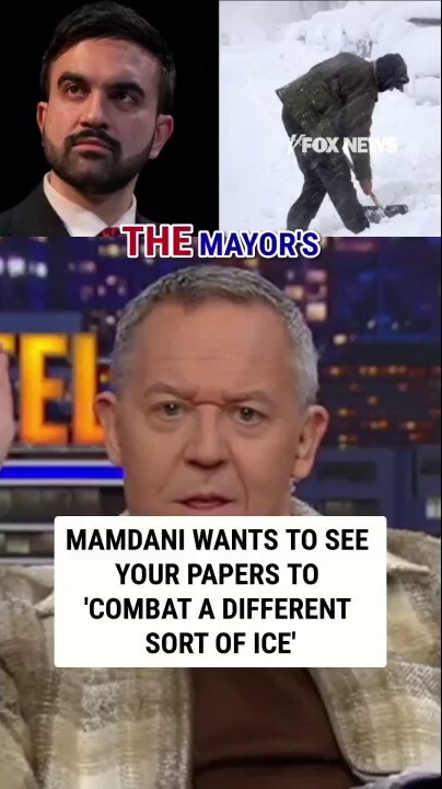 Mamdani wants to see your papers to 'combat a different sort of ICE'