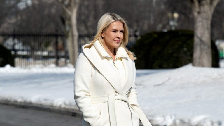 Leavitt scorches ‘elitist’ celebrities slamming ICE from 'gated' mansions