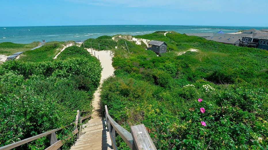 Wealthy coastal enclave's dirty secret revealed through wastewater testing surveillance