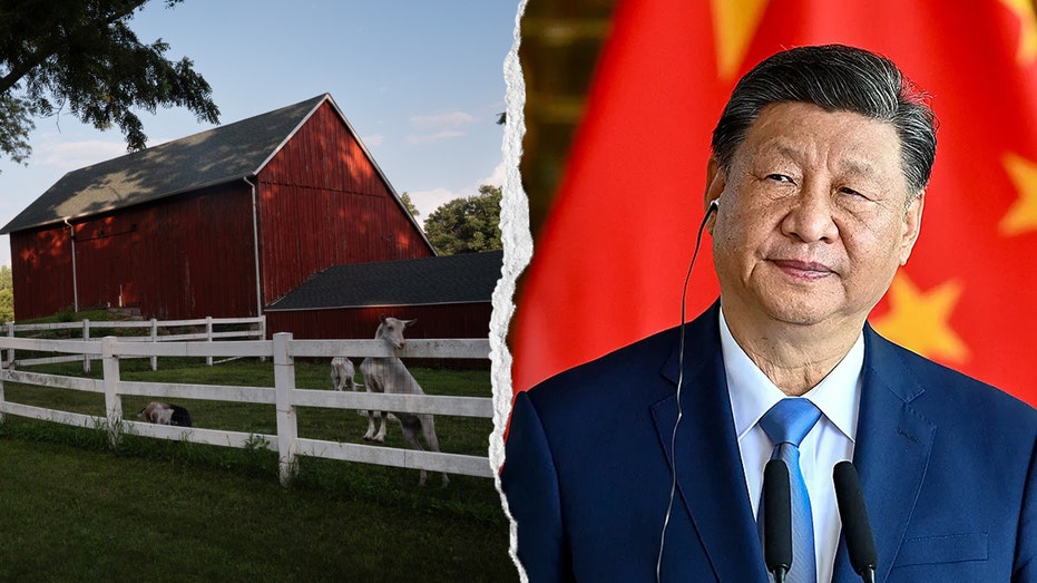 Lawmakers probe National FFA over Chinese Communist Party ties and DEI programs