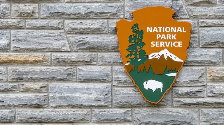 Fired Yosemite worker sues National Park Service after hanging massive transgender flag across El Capitan
