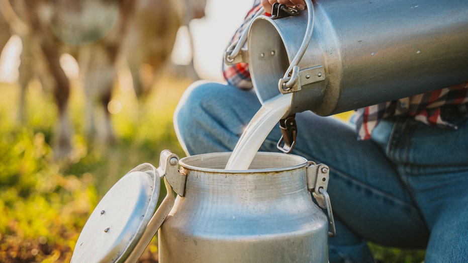 New Mexico newborn dies from Listeria infection after mother drank raw milk while pregnant: state officials