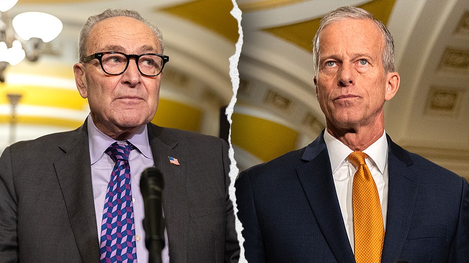 Senate races to avert third shutdown as DHS deal takes shape