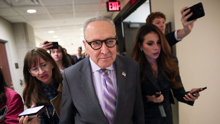 Dems dig in, guarantee shutdown with block of DHS funding