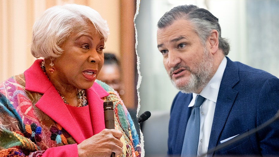 Virginia Democrat gives profanity-laced response to Cruz's criticism of the state's redistricting push