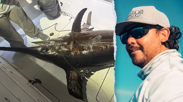 Captain hauls in nearly 500-pound sea giant after grueling battle, feeds most of town