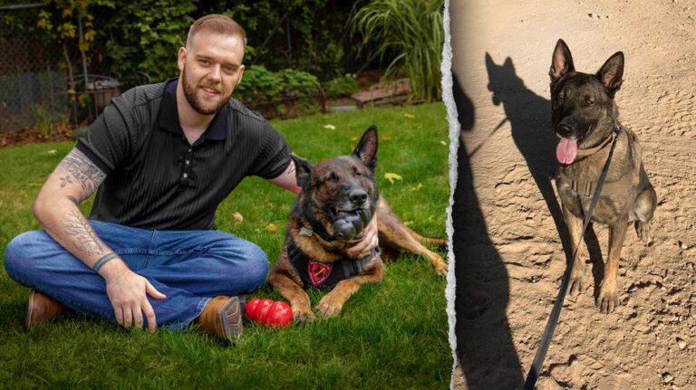 I served with my dog Dasty in Afghanistan. Dogs are man’s best friend on the battlefield