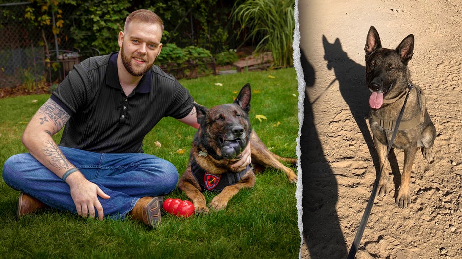 I served with my dog Dasty in Afghanistan. Dogs are man’s best friend on the battlefield
