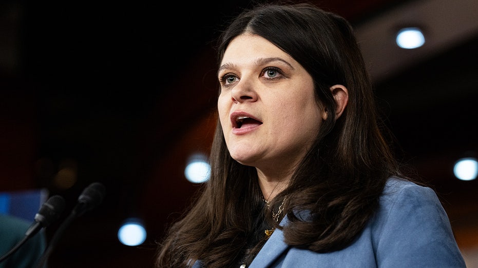 Dem Senate candidate's job listing invites applicants of any 'citizenship status' to apply for top role