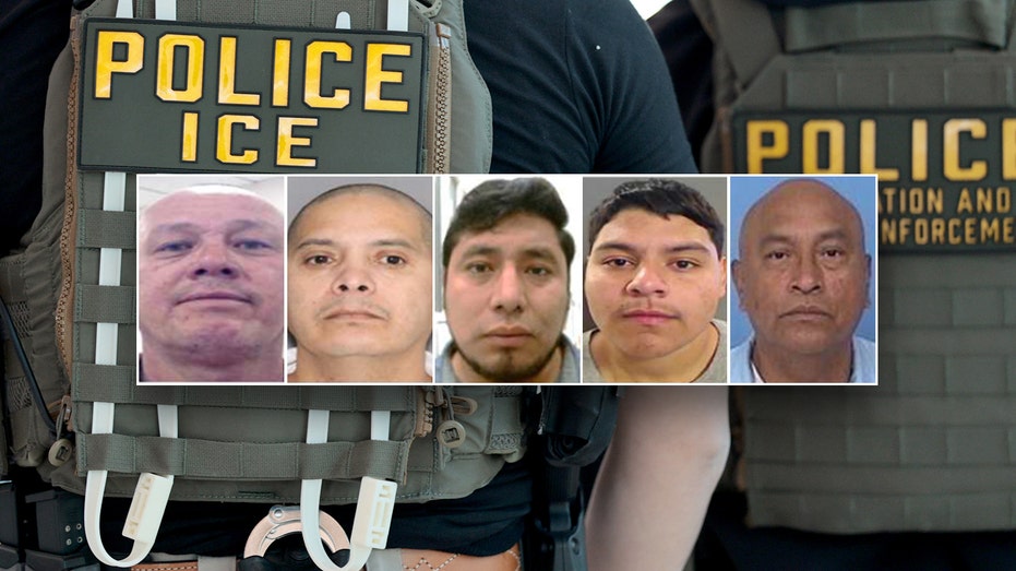 DHS arrests 5 illegal immigrants convicted of violent crimes including manslaughter, child assault