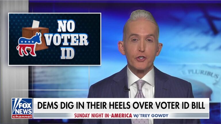 Fight continues over voter ID laws as Trump ramps up pressure to pass SAVE Act