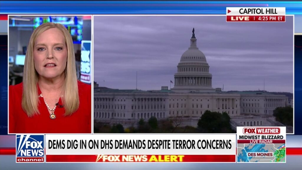By not funding DHS, American citizens ‘continue to be at risk’: GOP lawmaker