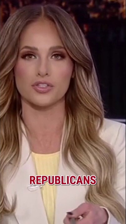 Tomi Lahren: Democrats are not for the 'every day' man or woman anymore