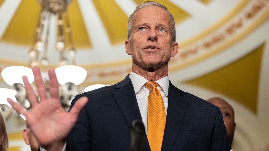 DAVID MARCUS: Sen Thune has no idea how mad the GOP base is at him