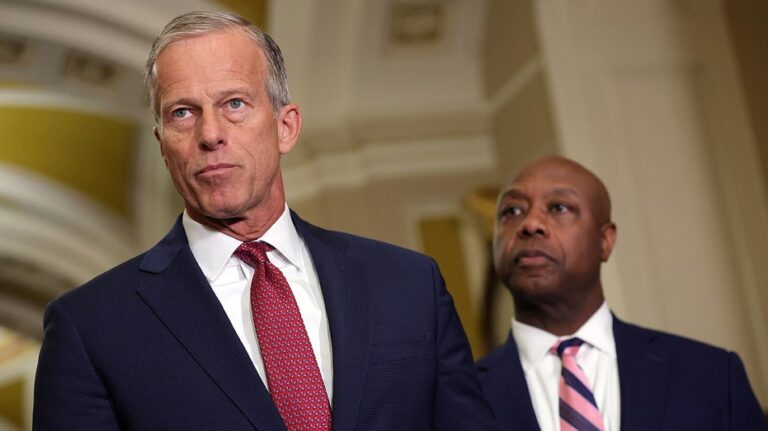 House conservatives erupt over Senate GOP, White House deal amid SAVE Act fight