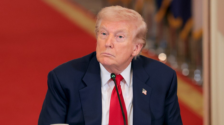 Trump says most NATO allies 'don’t want to get involved' in Iran operation, but US 'NEVER' needed their help