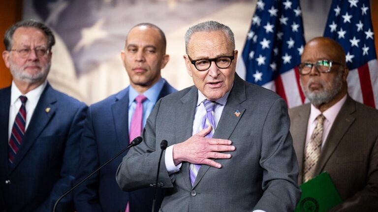 NEWT GINGRICH: Democrats could get an alarming wake-up call in 2026 election