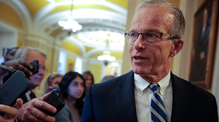 Dems block DHS funding after GOP rejects their counter, Thune says Schumer 'going in circles'