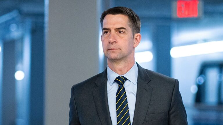 Tom Cotton slams Democrats' 'temper tantrum' for fueling TSA chaos amid funding fight