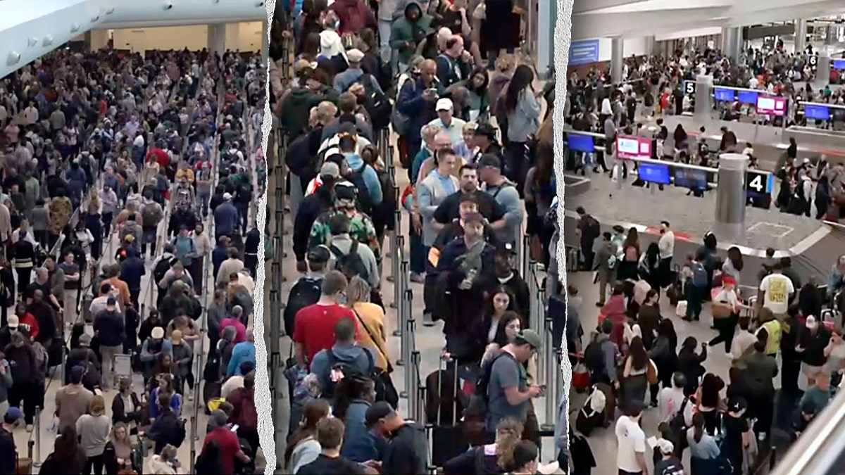 LIZ PEEK: Voters tell Congress 'do your job' and end the DHS showdown