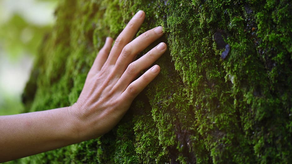 English nature festival makes the important clarification that it is not for nudists