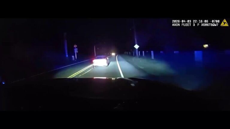 High-speed police chase ends with arrest of 19-time felon