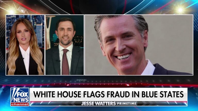 The biggest fraud scandal may have happened under Gavin Newsom's watch: Chris Rufo