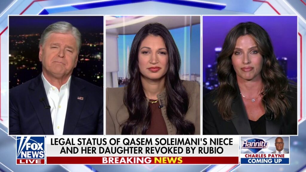 Those with ties to Iran’s Islamic Republic should ‘certainly’ not be allowed in the US: Noa Tishby