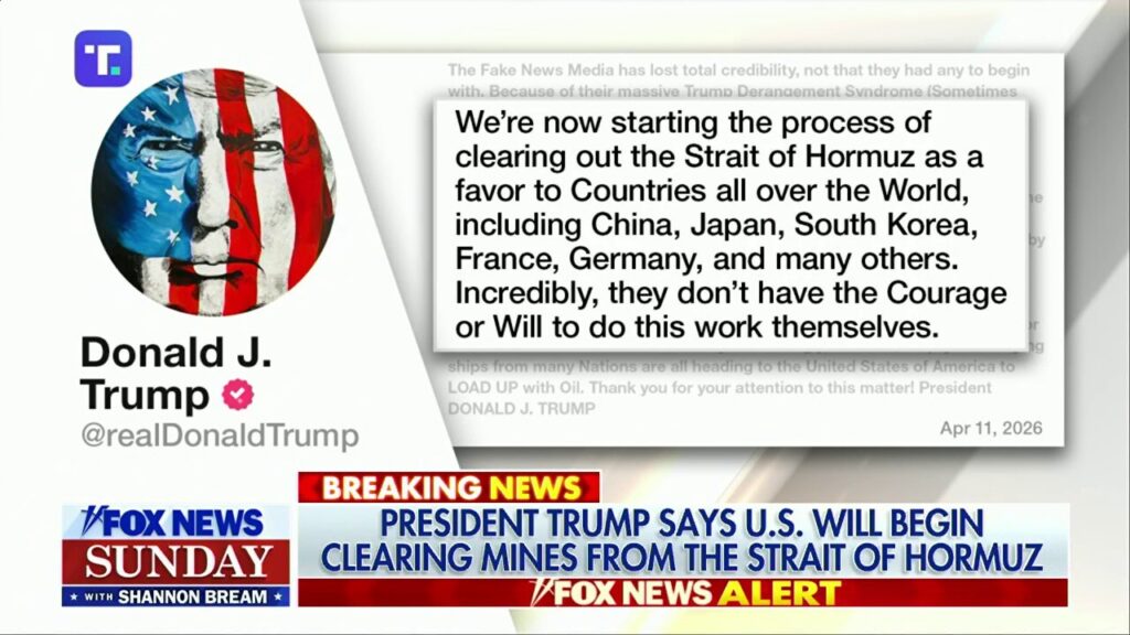 Trump slams allies as US moves to clear mines in Strait of Hormuz