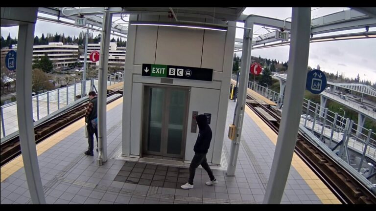 Video shows man try to push stranger into arriving train