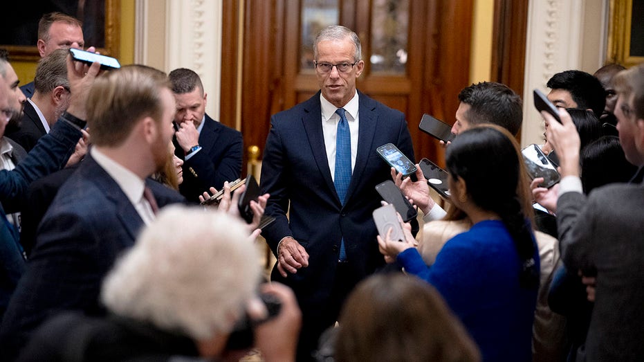 'We didn't cave': Thune highlights Schumer, Dems' losses in DHS funding deal