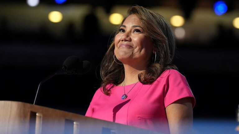 DHS releases new evidence in case of Dem staffer accused of impersonating ICE attorney