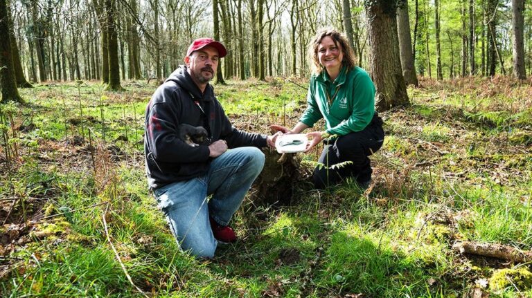 Dog walker's routine stroll turns into 'incredible' 3,000-year-old discovery in picturesque forest