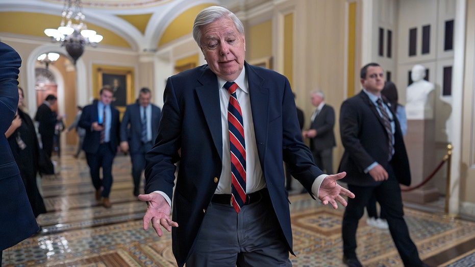 Lindsey Graham warns Republicans, Democrats trying to 'destroy' Trump is a losing game after Cassidy defeat
