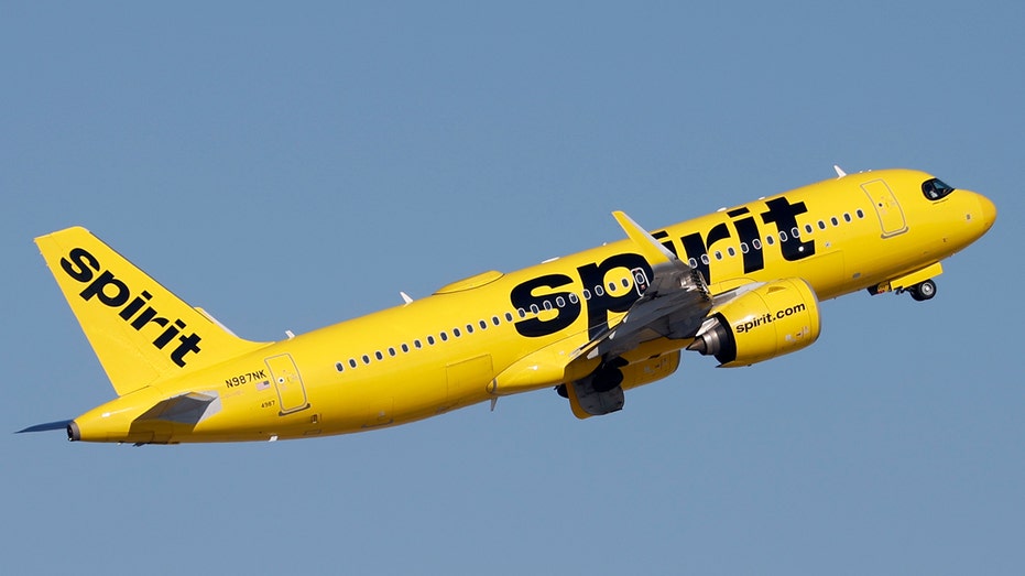 We will all pay for the Democrats’ antitrust crusade that killed Spirit Airlines