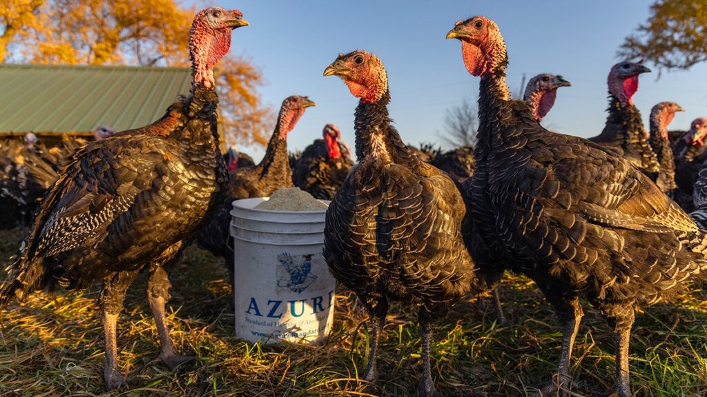 Millions of farm animals die in barn fires — a crisis we can no longer ignore