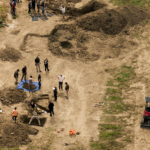 A California dog rescue hid a grim secret: more than 100 dogs buried beneath it