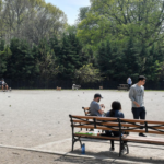 Man dead, another critical after double stabbing at Brooklyn park as police detain person of interest: NYPD