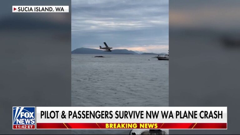Pilot and passengers survive NW WA plane crash