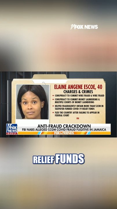FBI NABS alleged COVID fraud fugitive