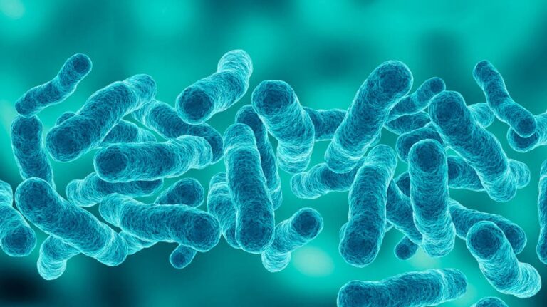 First death reported in Upper East Side Legionnaires' disease outbreak as cases rise to 67