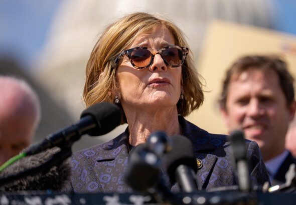 Vulnerable House Dem's bipartisanship push clashes with fantasy to ‘beat the s--- out of’ Hegseth